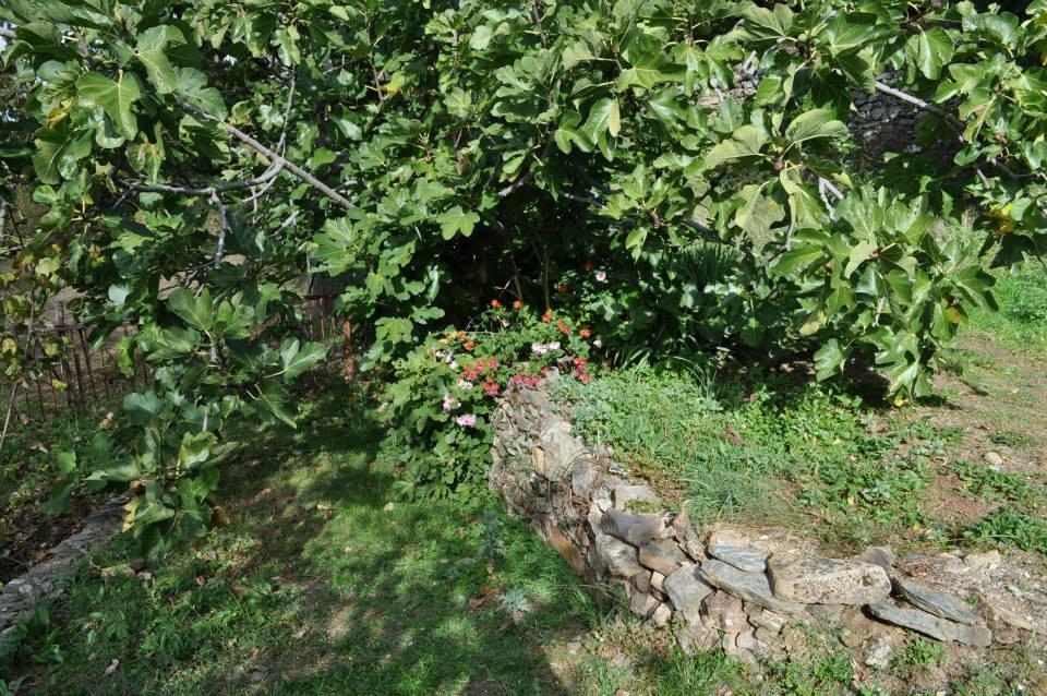 Mattale Villa Tonara Luaran gambar