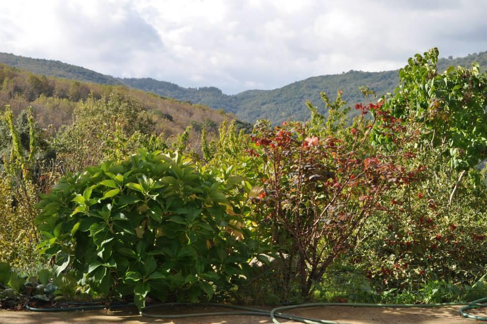 Mattale Villa Tonara Luaran gambar